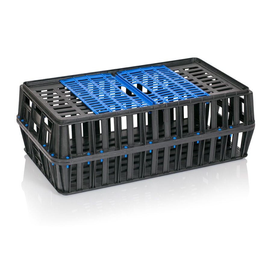 ΠΟΥΛΕΡΙΚΑ ΤΕΛΑΡΟ 0123