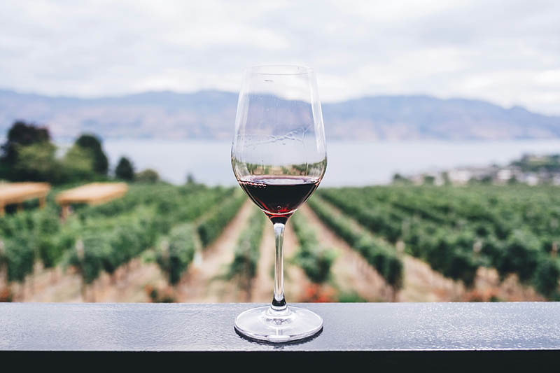 A glass of wine overlooking an orchard - the wellness positioning of non-alcoholic wine