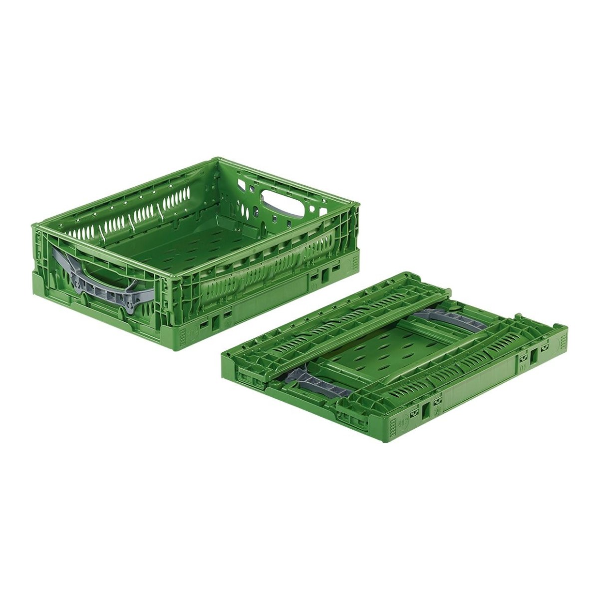 Foldable Collapsible Clever Fresh Box advance Green 40x30x12cm